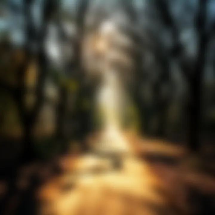 A pathway illuminated by sunlight, symbolizing new opportunities and transformation.
