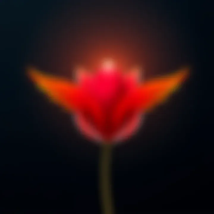 Logo of Andre Cronje's Flying Tulip representing the $200 million fundraising success